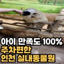 청수어린이집 | 인천실내동물원 추천｜인천아이들과가볼만한곳 서창동 쥬벅스 솔직후기