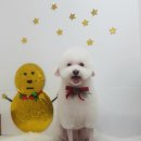 설 grooming 네이버블로그