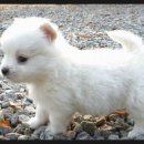 캣앤레빗 이미지