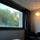 아름다운숲 | 에버랜드 근처 숙박 추천 숲속 풍경이 아름다운 호텔숲 이용후기