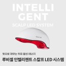 하니루비셀뷰티랩