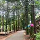 호박소가는길 | 오천평반석 | 넓고 맑은 물이 가득한 호박소 근처 계곡 추천 및 가는방법 :: 여름 계곡 휴양지 추천...