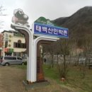 태백산민박촌 이미지