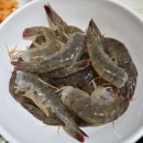 백사횟집