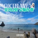 황금바다E | 오키나와 고릴라춉 스노클링 프리다이빙 후기: 주차, 샤워실, 수심, 시야까지 한눈에 보기