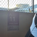 스피드오토카 | [캐나다 여행 교통편 ③] 렌터카 이용하기(에드몬튼-재스퍼-밴프-캘거리 공항)