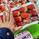옛살비카페 - 정선군 무릉1로 99 | 옛살비카페