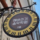 해바라기음악학원 이미지