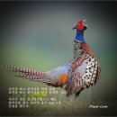 대문 - 플러싱의 중요함 이미지