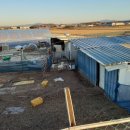 성환염소농장 이미지