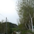 물안개피는 호숫가펜션 이미지