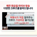 글로벌비즈여행사