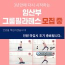 엘라인필라테스