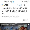 역시 한국산 배추 용어 변경한 한국 그후 김치 원산지 속임수 증가의 뉴스 .김치용 배추?? 웃낀다. 이미지