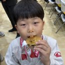 정도 유도 체육관 이미지