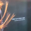 더감동 이미지