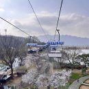(주)굿리프트 | 서울대공원 벚꽃 동물원 리프트 패키지 탑승 예매 할인 대기시간 운행종료 일정