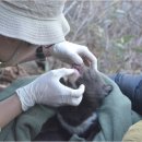 지리산밧데리 이미지