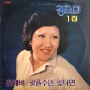 강소희 전속기념 1집 [꽃제비 / 잊을수만 있다면] (1980) 이미지