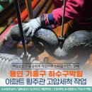 한라동백아파트 | 용인 기흥구 하수구막힘 동백 한라비발디 아파트 횡주관 고압세척 작업