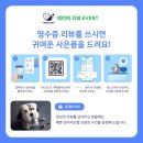 백 동물병원 이미지