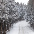 애월의아침 민박 이미지