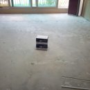 오크포레스트 이미지