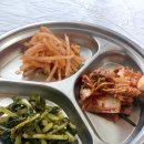 힐링칼국수 | 대부도 옛날 보리밥 삼색 칼국수 맛집 뿌셔! 힐링 만렙 후기!