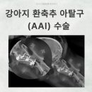24시 라움동물의료센터 이미지