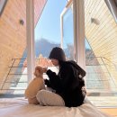 무아레도그라운드 이미지