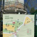 시온농장 | [고창/여행] 2026 고창 청보리밭 축제 실시간 후기 : 유채꽃과 청보리의 환상 콜라보 (ft. 폭싹속았수다...