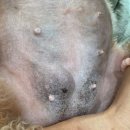 마리네 동물병원 이미지