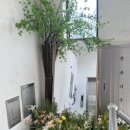 수원-0848 | 수원 무인 스튜디오 영통구 셀프사진관 셀프스튜디오홀씨