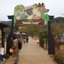 플로라모텔 이미지