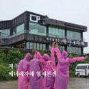 협재 갈치조림 맛집 | 해녀세자매 협재본점 통갈치조림 후기