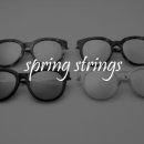 렌즈앤글라시즈(LENS&GLASSES) 이미지