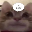 금학로279번길40 | 부산 맛집 톤쇼우 광안점 웨이팅 핵핵핵 꿀팁 + 대기번호 순서 넘겨서 전화한 썰
