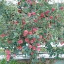 지성농장 이미지