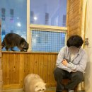 라쿤브라더스 네이버블로그