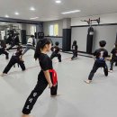 기무관합기도 | 경기도 상록구 기무관합기도MMA, 리뷰, 후기, 영업시간