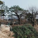 상록농장 이미지