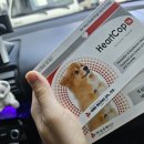 금호가축약품 이미지