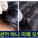 손 헤어필