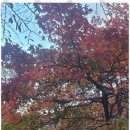 꽃피는산골민박 | 월악산숙박 자연 속 힐링의 즐거움, 꽃피는산골 민박펜션에서의 하루