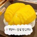 빙설아 | [잠실 카페] 빙설아 | 2만원대 생망고빙수 내돈내산 맛집