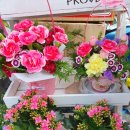 영플라워 이미지