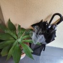 세븐일레븐신천제일점 이미지