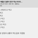 치맥특별시 이미지