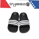 모닝글로리 이미지