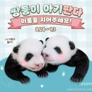 용인푸바오의 쌍둥이 판다... 뜨거운 이름 공모전 벌써 3만개 이미지
